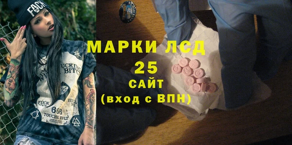 индика Армянск