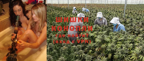 индика Армянск
