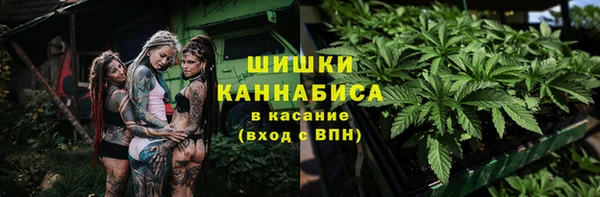 амф Алзамай