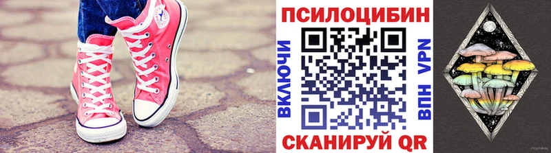 Галлюциногенные грибы Psilocybe  купить   Лаишево 